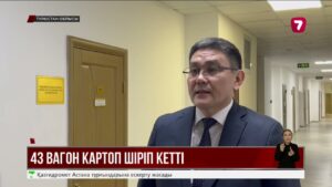 43 вагон картоп шіріп кетті