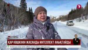 Жасанды интеллект қар көшкінін 90% дәлдікпен болжай алады
