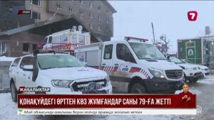 Түркиядағы өрттен көз жұмғандар саны 79-ға жетті