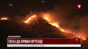 Лос-Анджелесте тағы да орман өртенді