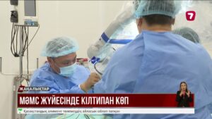 Депутаттар МӘМС жүйесін уақытша тоқтата тұруды ұсынды