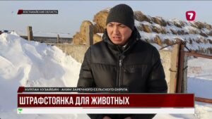 Штрафстоянки для бродячего скота