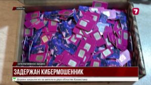 В Алматы раскрыли киберферму телефонных мошенников