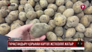 Өңірлерде картоп қымбаттады