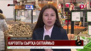 Үкімет картопты басқа елдерге шығаруға шектеу қойды