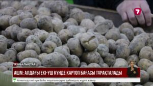 Алдағы екі-үш күнде картоп бағасы тұрақталады