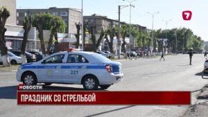 В Мойынкумском районе свадьба окончилась массовой дракой со стрельбой