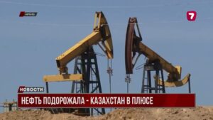 Цены на нефть резко пошли вверх после громкого заявления Дональда Трампа