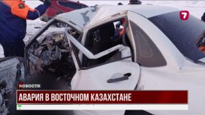 Смертельное ДТП в ВКО: лобовое столкновение унесло 4 жизни