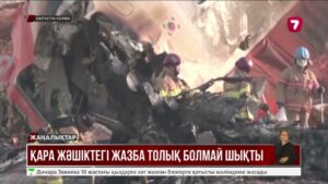 Оңтүстік Кореядағы ұшақ апаты: қара жәшіктегі жазба толық емес