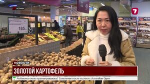 Картофельный кризис в Казахстане: причины и решения