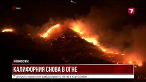 Борьба с огнём в Калифорнии: срочная эвакуация в Санта-Кларите