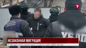 В Казахстане пресекли крупную сеть нелегальной миграции