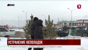 Цифровизация в действии: как МВД решает проблемы с правами