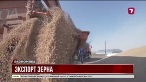 В 120 раз Казахстан увеличил экспорт зерна в Азербайджан