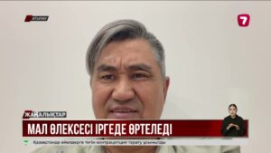 Атырау іргесіндегі өлекселер экологиялық апат тудыруы мүмкін бе?
