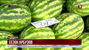 Как выбрать и проверить на спелость арбуз?