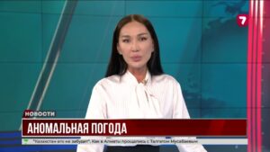 Огонь, ливни и землетрясения: мир охвачен погодными аномалиями