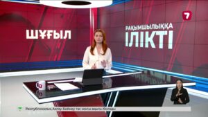 Астанада бағанға соғылған автобус жүргізушісі рақымшылыққа ілікті