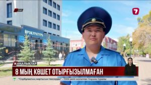 СҚО-да ағаш кесуге рұқсат берген шенділер жауапқа тартылды