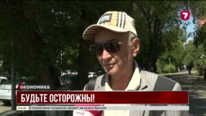 ЕНПФ предупреждает: участились случаи мошенничества с пенсионными выплатами