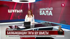 Ақтаудағы балабақшада бүлдіршінді өзге балалар ұрып, тырнап, тістеген
