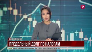 В Казахстане установят предельный размер налоговой задолженности для бизнесменов