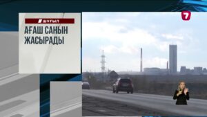 Молдовада балалар каруселі құлап, жеті бала жарақат алды