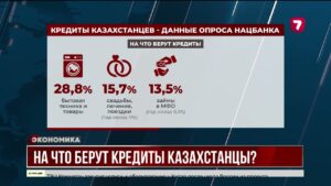 На что берут кредиты казахстанцы? Нацбанк сделал такой опрос среди жителей страны