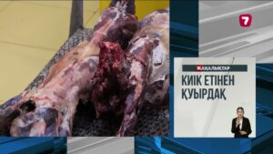 Шымкенттегі Абай ауданы әкімдігінің ғиамарты өртенді