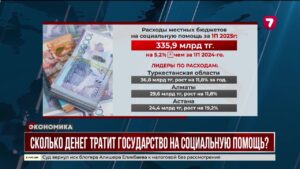 Сколько денег тратит государство на социальную помощь?