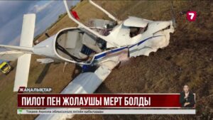Ұшақ апаты: туған күнін әуеде атап өтпек болған әйел қаза тапты