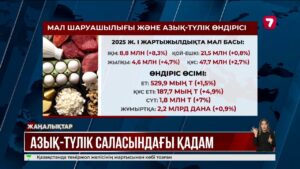 Қазақстан 2028 жылға дейін азық-түлікпен өзін-өзі толық қамтамасыз етуді көздеп отыр