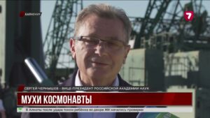 Мыши и грибы улетают в космос