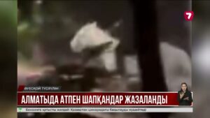 Алматыда түн ортасында шабыс ұйымдастырған салт аттылар жазаланды