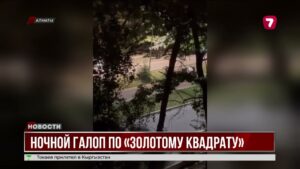 Полиция наказала шумных всадников в Алматы