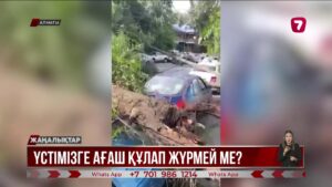Алматыда бойжеткенге ағаш құлап, мерт болды