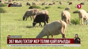 Алматы облысында 367 мың га жер телімі мемлекетке қайтарылды
