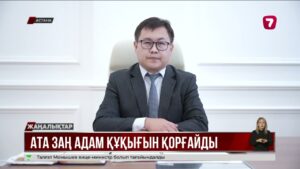 Биыл Ата заңымызға 30 жыл