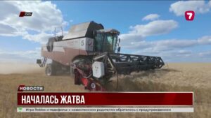 В СКО началась жатва: аграрии применяют No-till — посев без вспашки