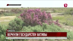 Фермерам передали свыше 100 тысяч гектаров возвращённых земель
