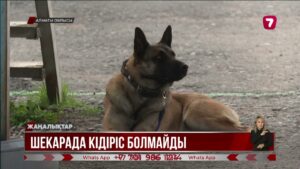 «Кеген» және «Қарқыра» шекаралық бөлімшелері енді тәулік бойы қызмет көрсетеді