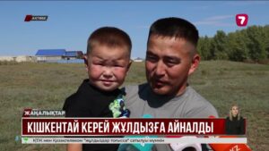 Қаздан қашқан кішкентай Керей 150 млн қаралым жинады