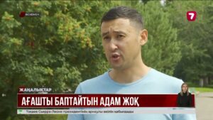 Өскеменде көшеттер мүлдем суарылмай, қурап жатыр