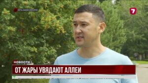 В Усть-Каменогорске от жары увядают зелёные аллеи
