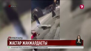 Алматыда тау бөктерінде жастар төбелес шығарды