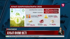 Биыл ауыл шаруашылығы өнімінің жалпы көлемі 3,7% өсті