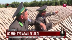 Алматы облысында 52 млн түп ағаш егіледі