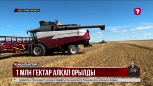Қостанай облысында 1 млн га алқаптан астық жиналды