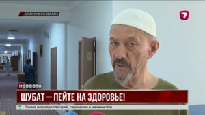 В Алматинской области растёт производство и экспорт шубата
